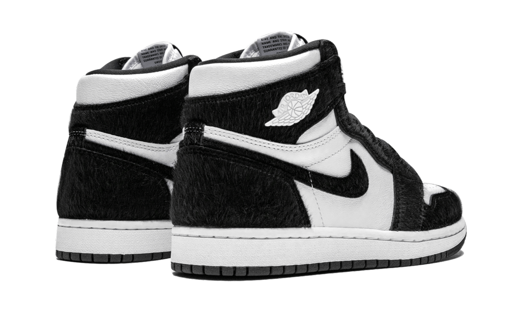 AIR JORDAN 1 RETRO HIGH OG WMNS "Twist" CD0461 007
