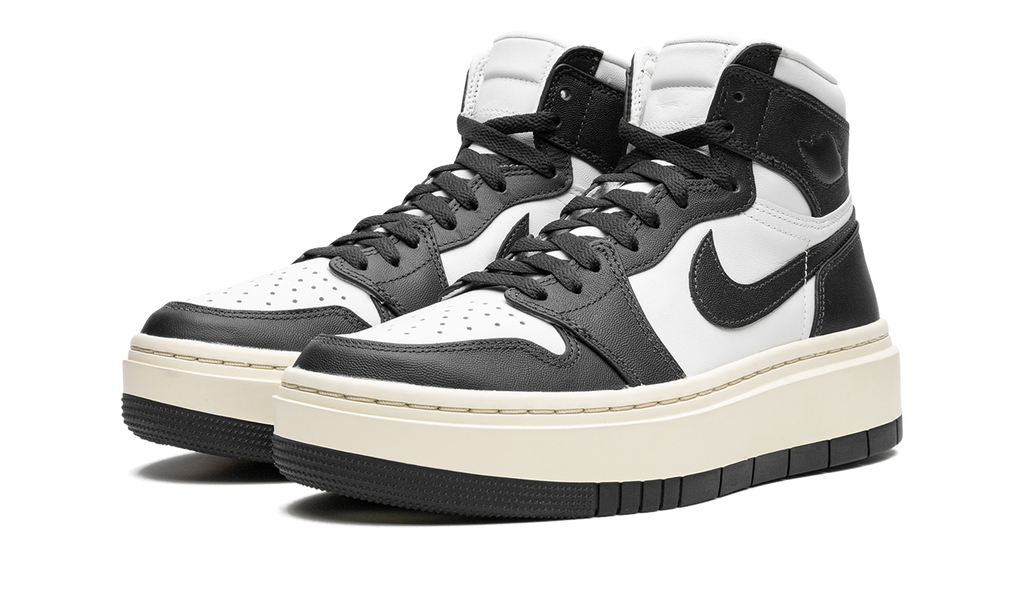 AIR JORDAN 1 ELEVATE HIGH WMNS "Dark Ash" DN3253 100