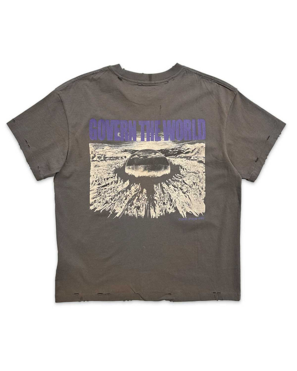 Birth of Royal Child Akira Destroyed Tee Grey