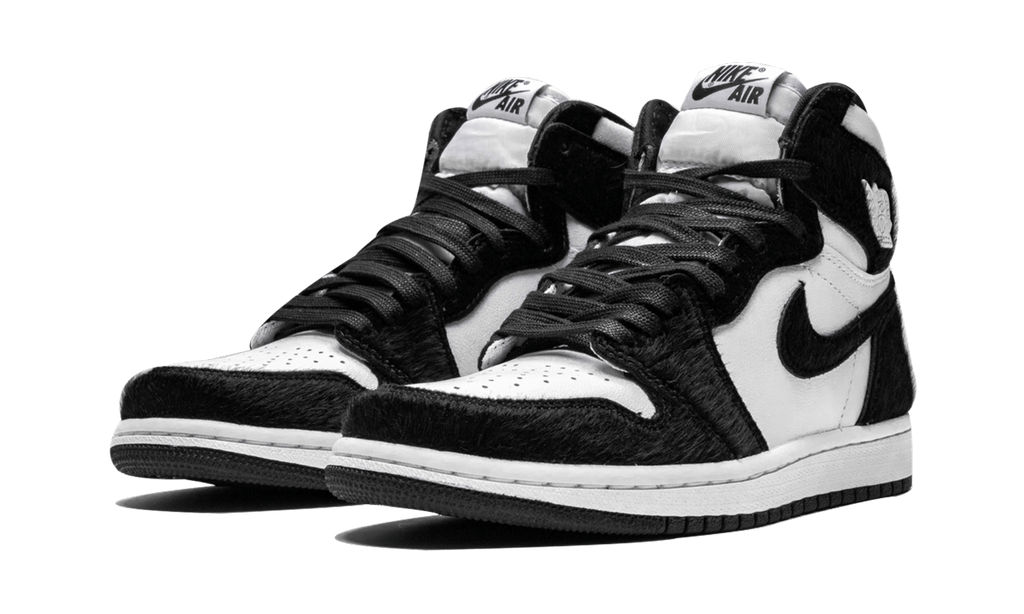 AIR JORDAN 1 RETRO HIGH OG WMNS "Twist" CD0461 007