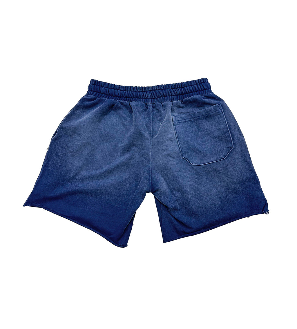 Vertabrae Blue Double Emblem Shorts