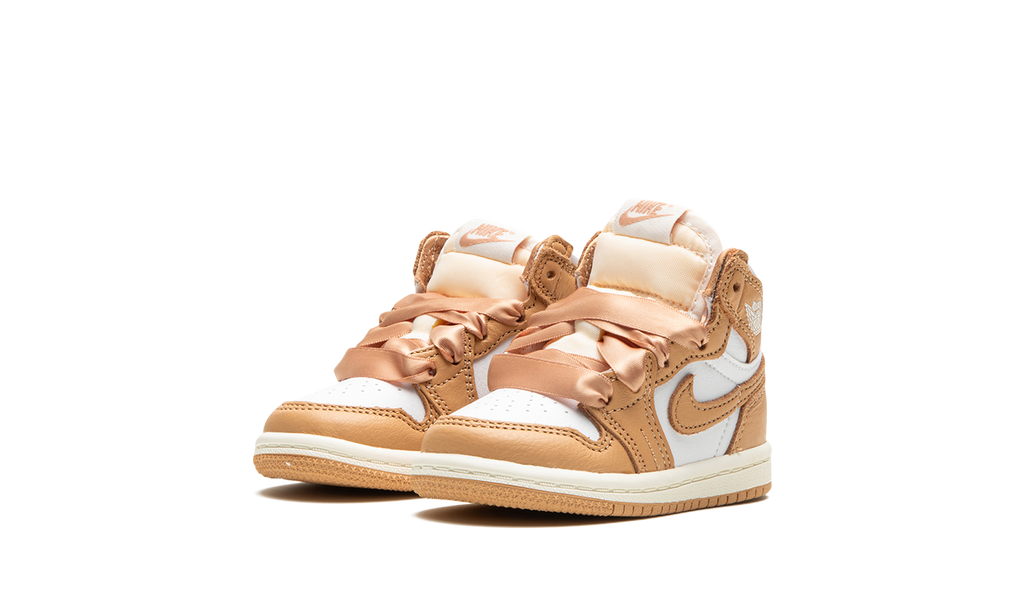Air Jordan 1 Retro High OG TD "Praline" FN6623 201