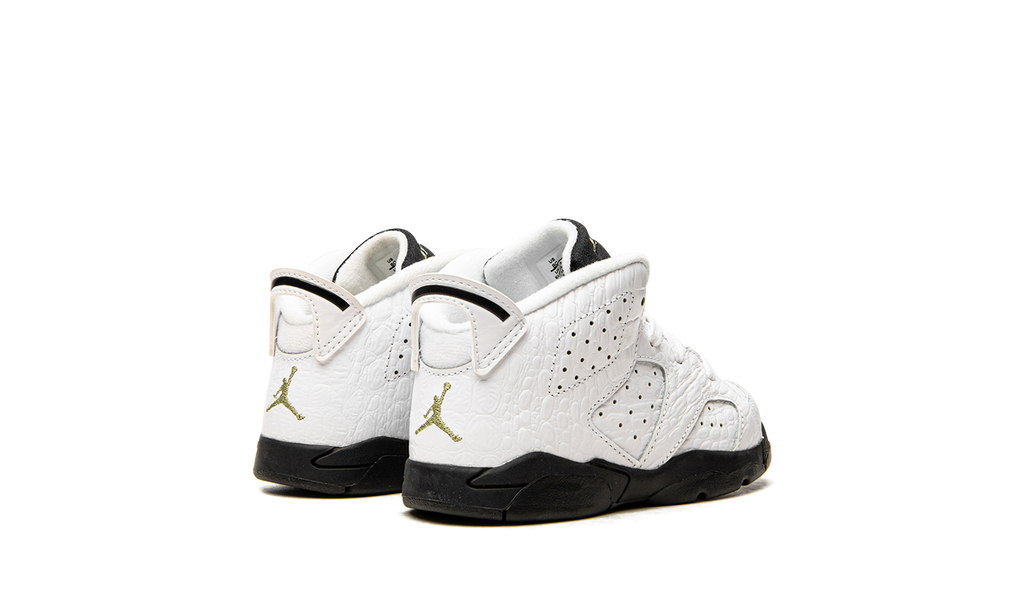 Jordan 6 Premium TD "MOTORSPORT" 384667 110
